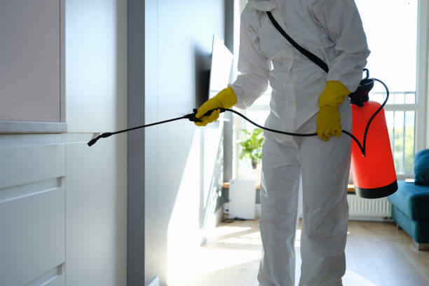 Reliable Lincoln, NE Mold Removal Solutions